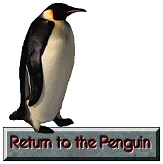 FLEETWOOD MAC PENGUIN logo