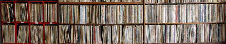 Record Shelves (Popular Music on Record Divider)