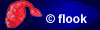 Link to FLOOK Website
